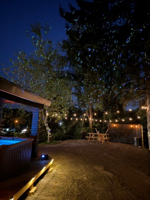 The Firefly Show