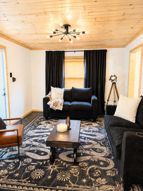 Living area — modern black furniture and wood ceiling